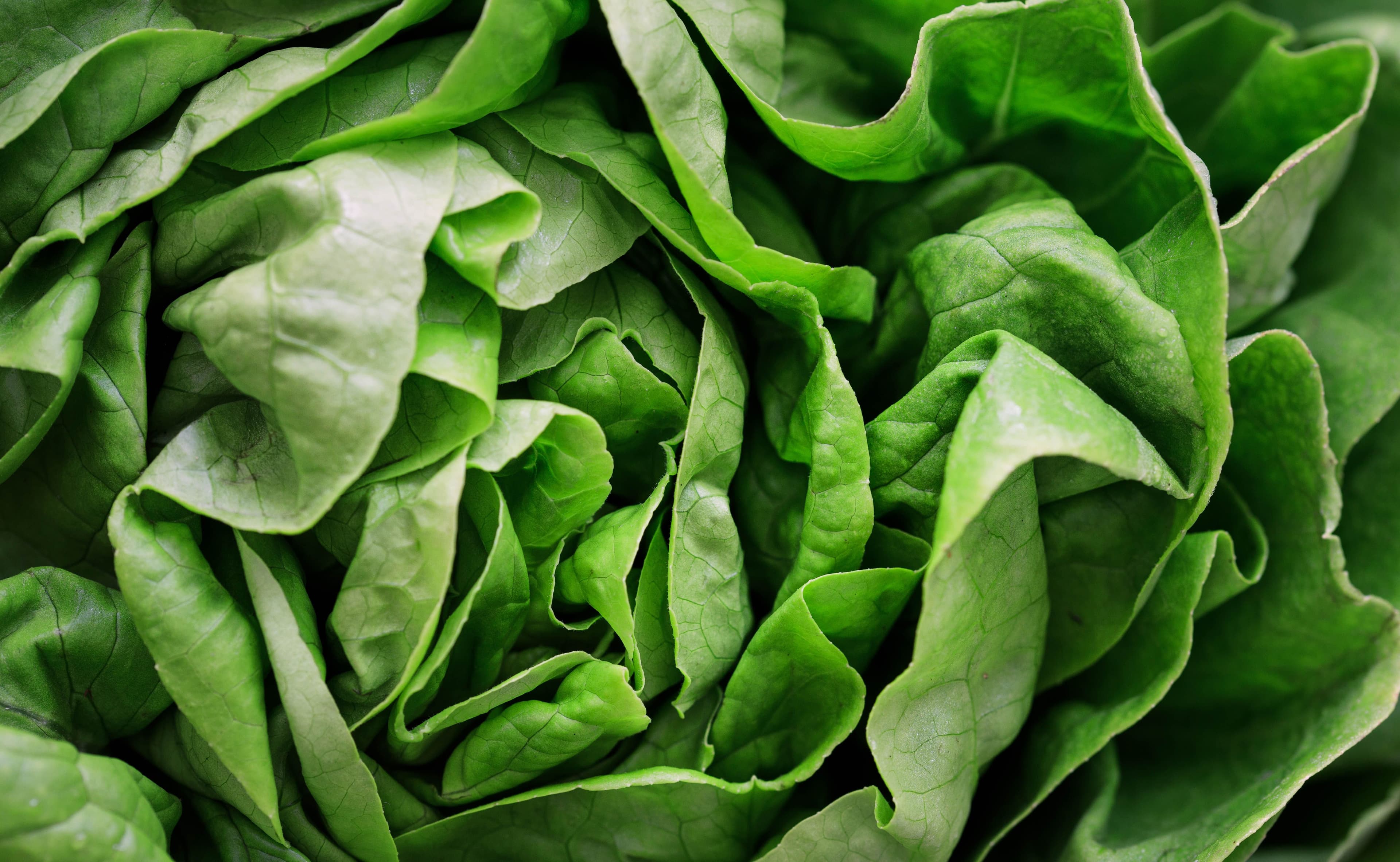 Green Salad